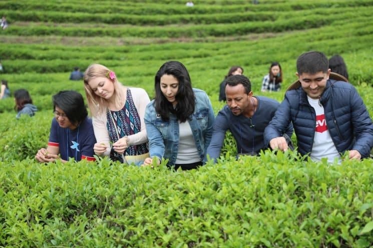 "젊음과 세계를 담다"…49회 보성다향대축제, 5월 1일 개막