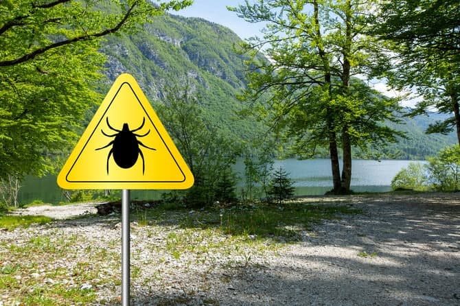 질병청, 치명률 18% '살인 진드기' SFTS 전국 감시체계 가동…야외활동 시 주의