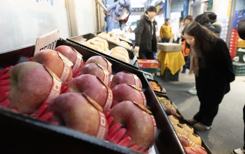 “고령화에 과일 재배면적 1% 감소…여의도의 3.5배”