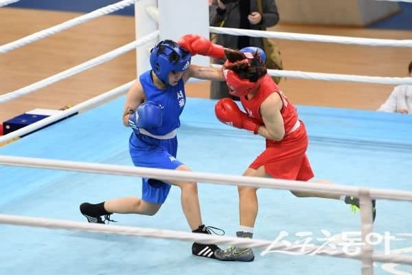 국가대표 정하늘 출격…영주서 전국종별복싱선수권대회 14일 개막, 700명 ‘주먹 대결’
