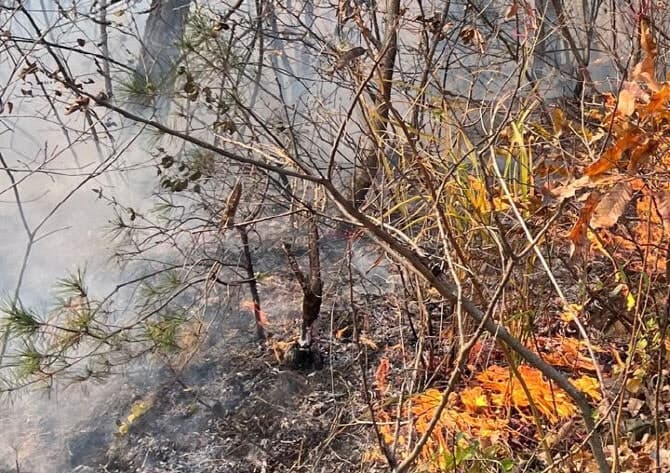 정부, 내달 15일까지 산불 유발행위 특별단속…'무관용 원칙' 엄정 대응