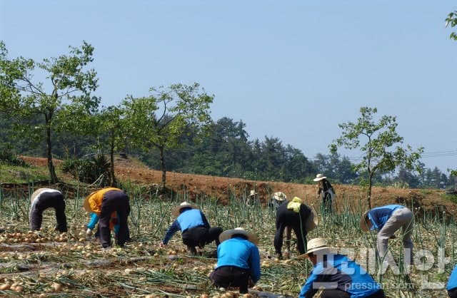 전남도, 4월부터 농어민 공익수당 10만원 인상된 70만원 지급