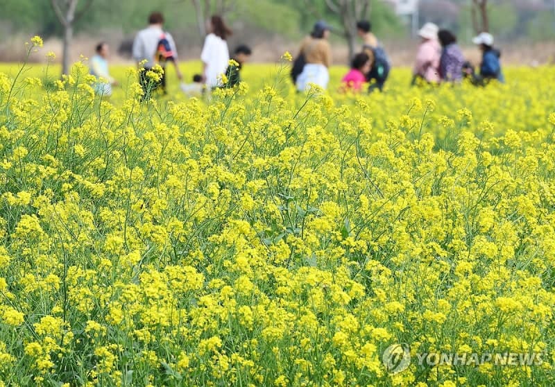 "반팔 입어도 되겠네" 낮 최고 28도 초여름 날씨…전국 흐리고 곳곳 비