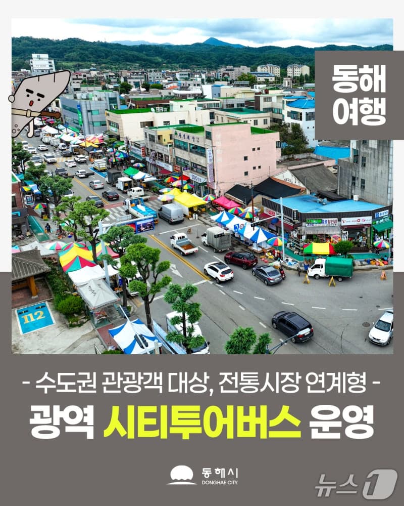 서울서 출발해 전통시장까지…동해시, 광역 시티투어버스 운영