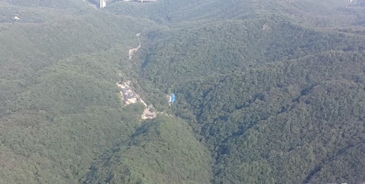 "소나무재선충병 청정지역으로" 삼척시, 1차 방제 완료 및 시기별 촘촘한 방제 추진