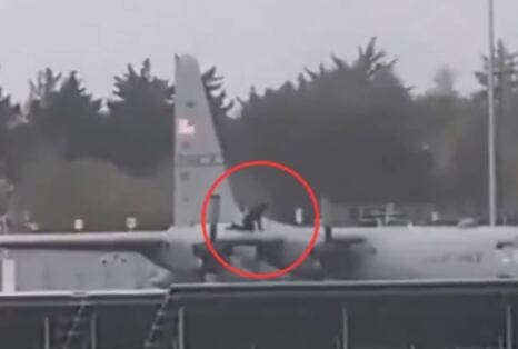 날개 위에서 도끼질?…아일랜드서 美수송기 파손 40대 체포