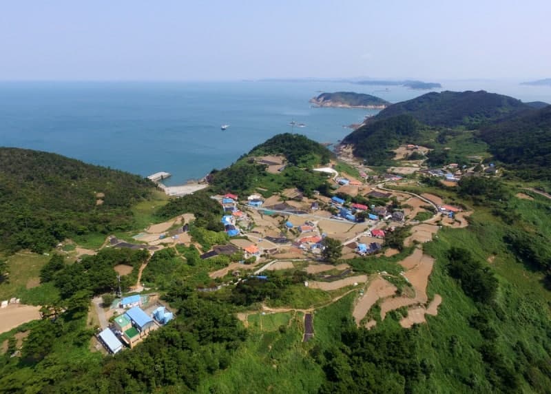 태안 가의도 '섬 특성화 사업' 2단계 승급 확정…9억원 확보해 육쪽마늘 특화 추진