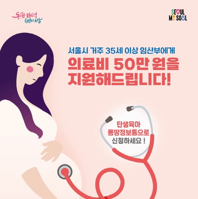 서울시, 35세 이상 임산부 의료비 최대 50만원 지원 확대