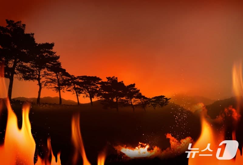 철원 DMZ 산불, 사흘 만에 주불 진화 완료