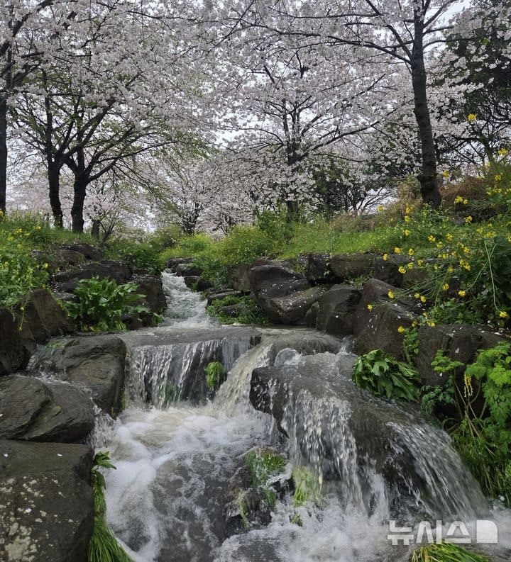 제주, '용천수 인증마을' 첫 선정…삼양·예래 2곳