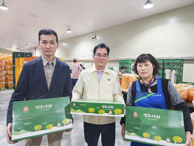 "고향사랑기부금 답례품, '사과'가 휩쓸었다"…영주 풍기농협 사과 매출 1위
