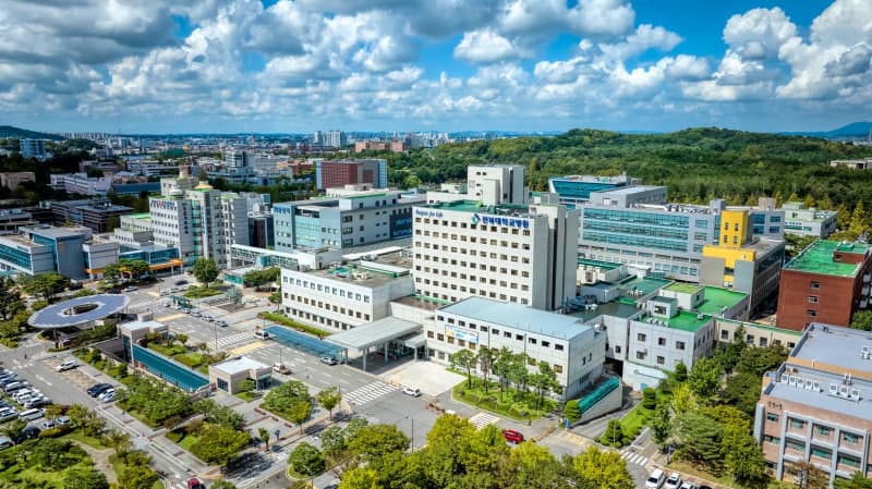 국립대병원 등 17개 공공병원에 AI 진료 시스템 도입, 120억 지원으로 치매·뇌졸중 조기 진단 및 심정지 예측