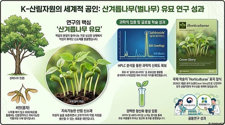 산림과학원 "간에 좋은 벌나무, 껍질보다 새싹에 유효성분 더 많아"