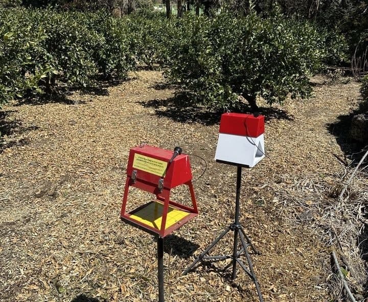 “AI 디지털트랩으로 해충 감시한다”…제주 감귤원과 밭에 AI 기반 해충예찰 디지털트랩 설치