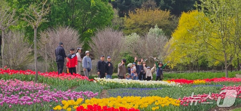 "꽃으로 전하고, 시로 머문다"…국립백두대간수목원, 튤립 전시 '튤립의 언어'와 북토크 개최