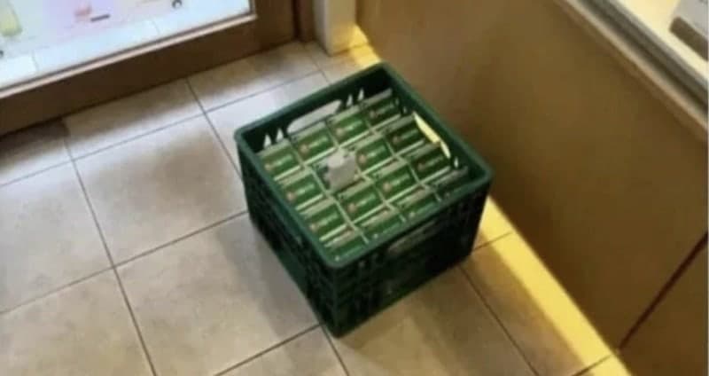 "돈 받았으면 제값 해" 우유 배달기사 공개 저격한 카페 점주, 결국 사과