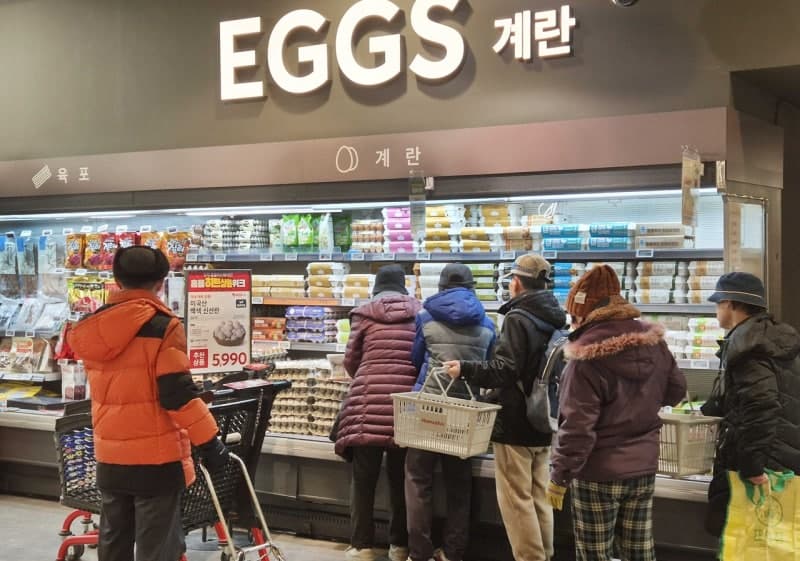 홈플러스, 대형마트 최초 '태국산 신선란' 4만6000판 푼다…"30구 5890원"