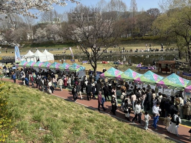 10만 인파에 매출도 급상승!…서초구 양재천, '도심 핫플'로 문전성시