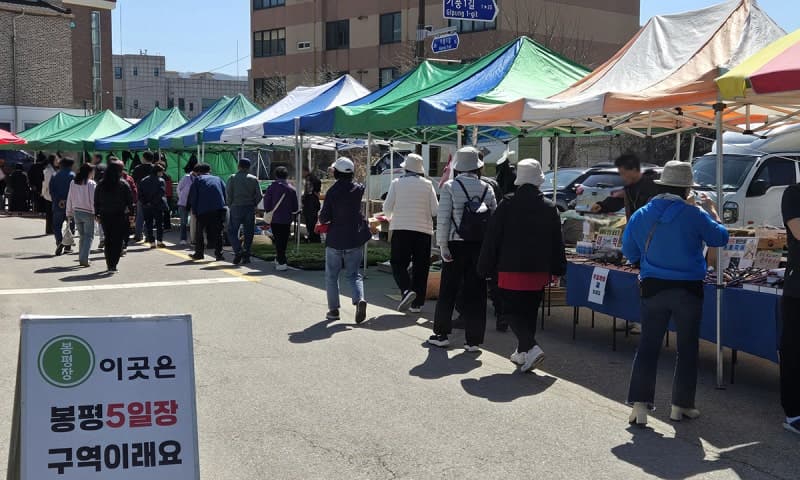 강원도민 73% "지역발전 효과 체감 못한다"…유권자들 "일자리·경제 활성화 최우선"
