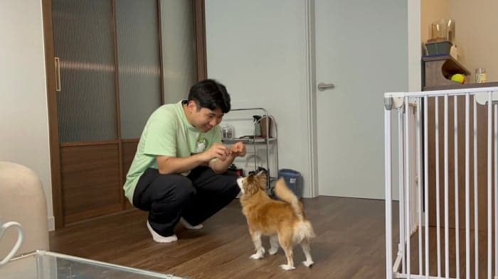 성동구, '찾아가는 반려견·반려묘 홈클래스' 운영... 문제행동 교정 돕는다