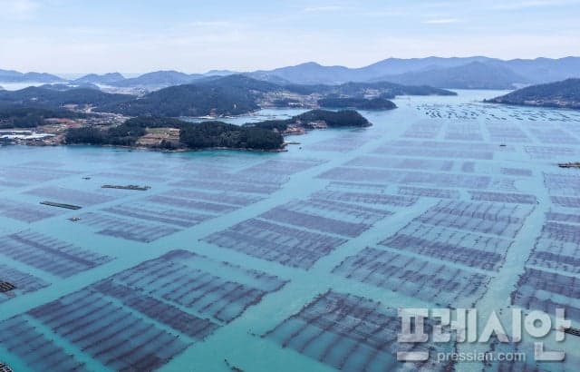 완도군, '바다숲 탄소 거래 사업' 6개소 선정…"전국 최다"