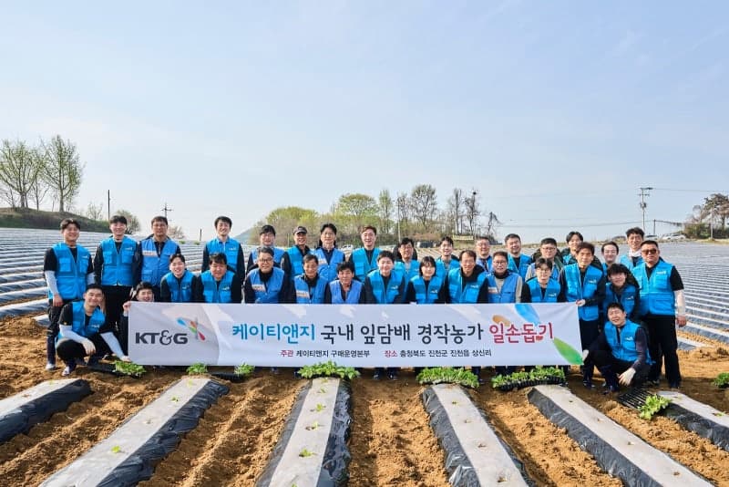 KT&G, 20년째 잎담배 농가 모종이식 봉사…"상생 활동 지속"