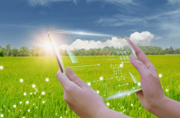 농식품부 "노지 스마트농업, 생산 32% 늘고 노동 43% 줄어"