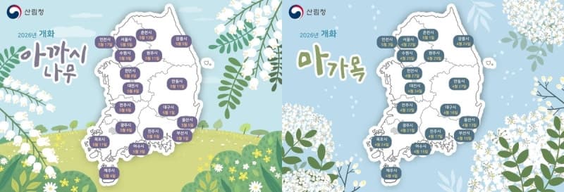 국립산림과학원, "아까시나무·마가목 개화 2~4일 앞당겨질 듯" 예측지도 공개