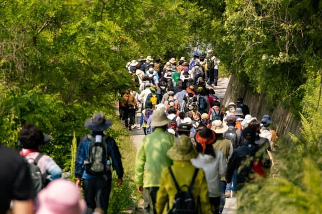 영주, 봄 숲길에 심장을 얹다…'동서트레일' 걷기 여행지 급부상