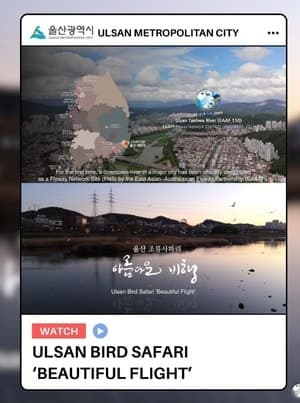 울산 '조류사파리', 철새보호 국제기구 SNS로 전 세계 소개