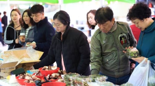 "인제의 봄, 에누리장터에서 만나요"... 18일 올해 첫 개장