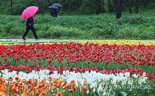 '낮 최고 21도' 더위 주춤…전국 흐리고 충청 이남 비