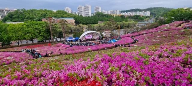 군포철쭉축제 18일 개막… "문화누리카드로 즐기세요!"