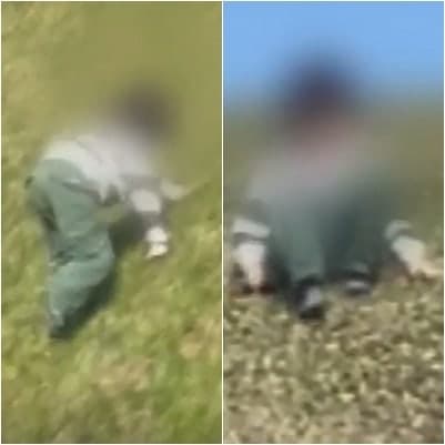 “부모는 어디 갔나”…경주 고분서 미끄럼 탄 아이, 잔디 훼손 논란