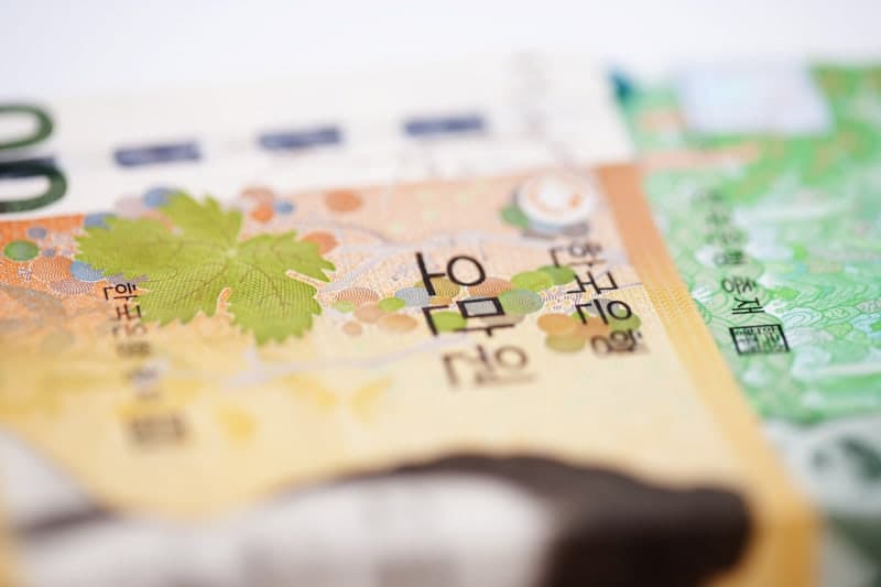 "성과급 지역화폐로 지급"…삼성전자·SK하이닉스 성과급 논란에 '사유 재산' vs '사회 환원' 분배 논쟁