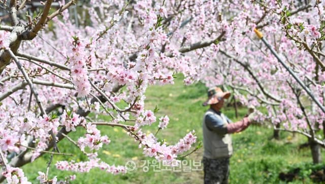 주말 초여름 더위 계속…서울·춘천 27도, 대구·전주 26도