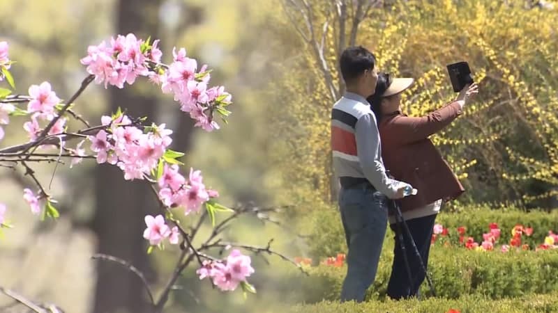 임진강 품은 파주 율곡수목원, 화사한 봄꽃과 나들이객으로 '북적'