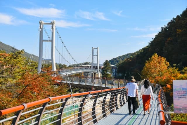 속초 '설악향기로' 50만 돌파, 체류형 관광 거점 도약 및 설악동 재건사업 시너지 기대