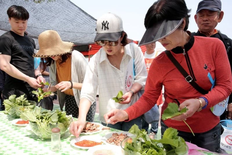 양구 곰취축제 5월 2일 개막…'로얄 곰취' 맛보고 먹거리 체험 콘서트까지