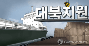 '대북 보조금 5억여 원 횡령'…민화협 전 간부, 1심서 징역 3년 실형