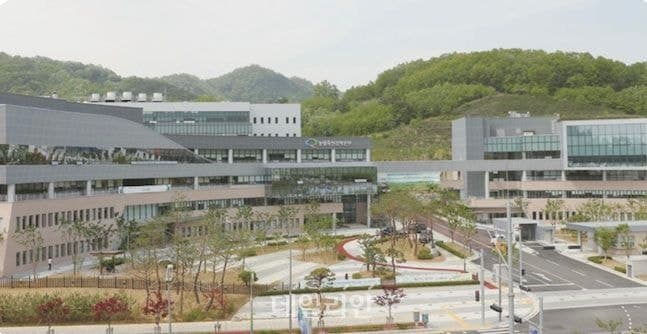 “국산 과일, 해외로 더 멀리”…토마토·포도·감귤·감 수출길 넓어진다