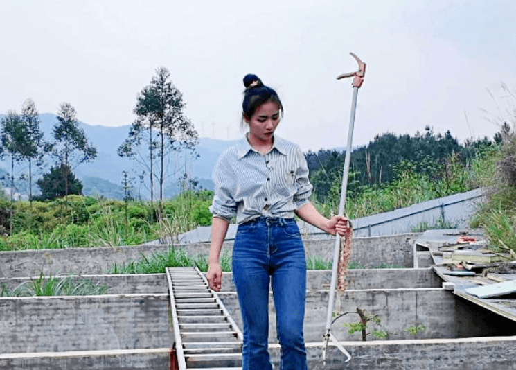 "사무직 그만두고 年 2억원 넘게 벌어요"…20대 中여성, 독사 6만 마리 키워 연 2억 수익