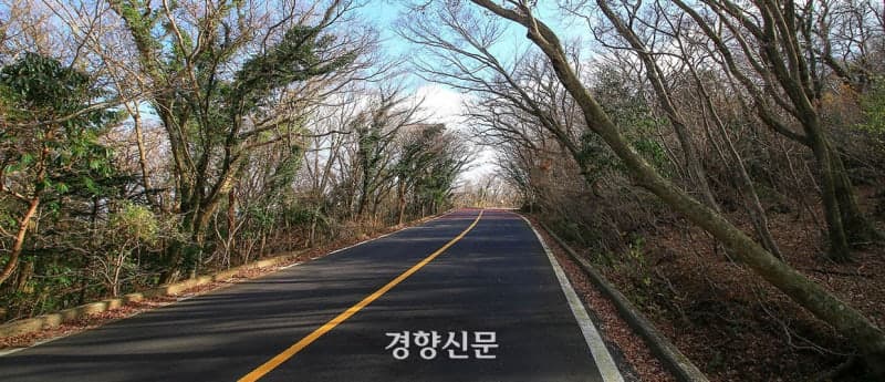 제주 '516로' 도로명 변경, 도민 설문조사 30일까지 실시