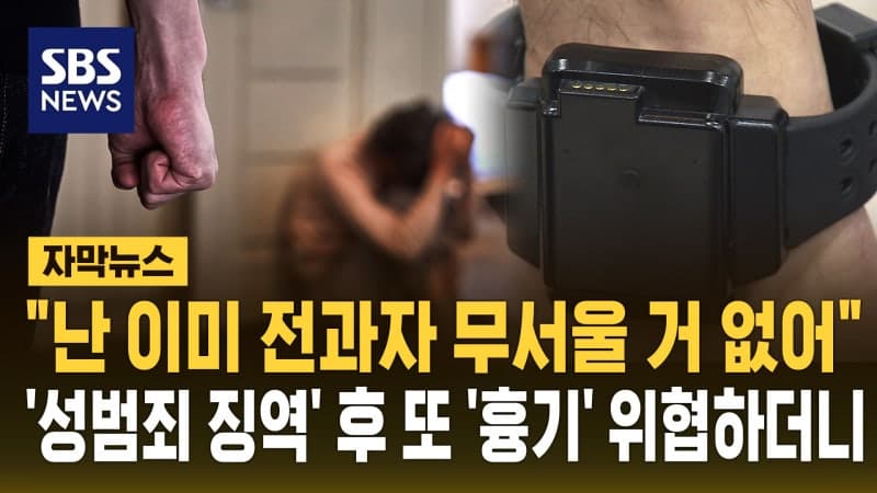 "난 이미 전과자 무서울 거 없어"…'성범죄 징역' 출소 후 또 흉기 들고 위협, 중형 선고