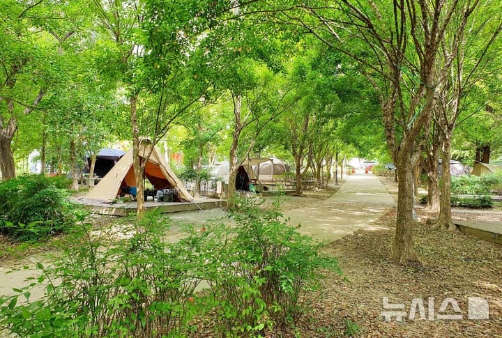 "노쇼 땐 예약 제한"…광주시, 시민의숲 야영장 관리 강화