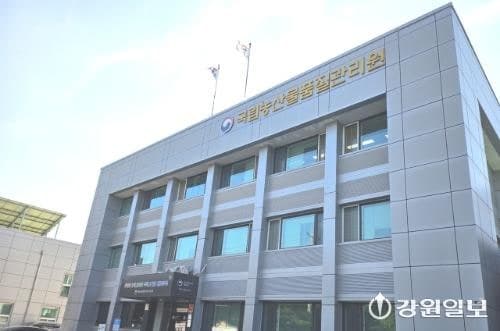 농관원 강원지원, 수입 염소·오리 고기 원산지 표시 집중 점검