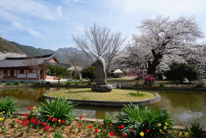 전남도, '나를 찾는 여행' 남도 천년사찰 세계명상관광 본격화