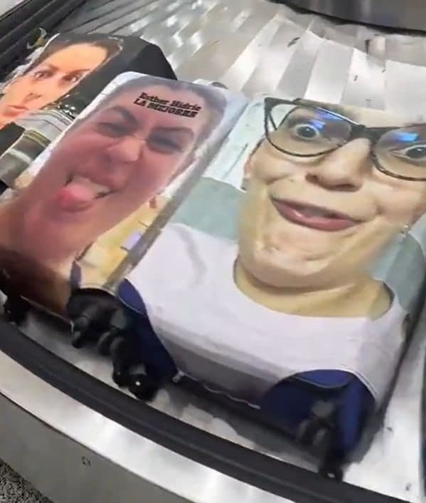 "도둑도 창피해서 못 훔쳐갈 듯"…'못생긴 얼굴' 캐리어 덮개, 여행객 필수템 등극