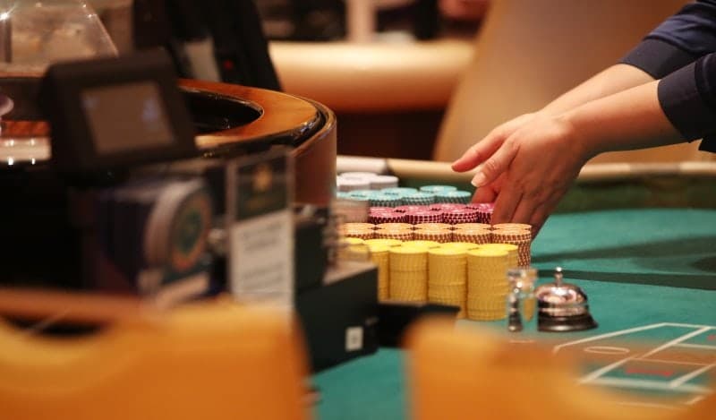 제주 카지노, 5년 청사진 수립 착수…"질적 성장·지역 상생 모델 구축"