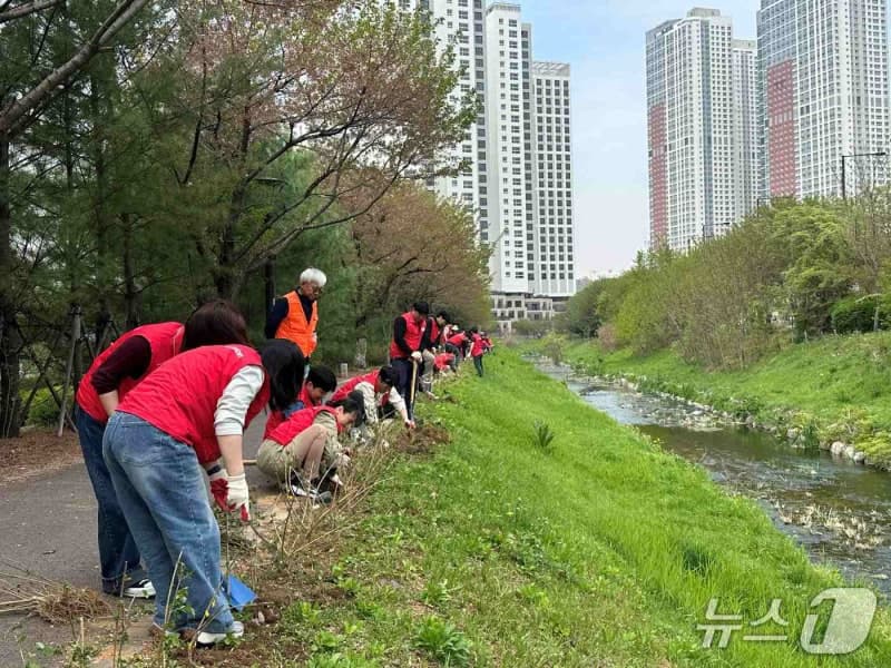 "도심을 푸르게"…LG헬로비전, 고양 창릉천서 봄맞이 ‘에코나눔 DAY’ 진행